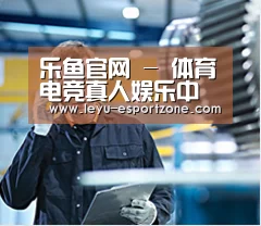 研发能力标题四